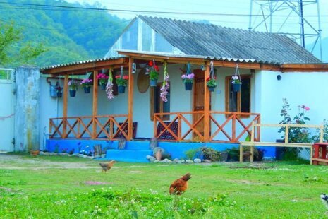 راهنمای تور